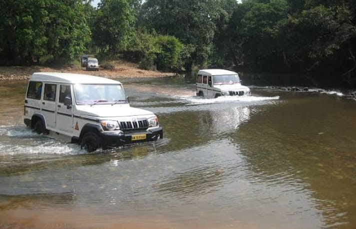 Jeeps crossing a shallow river on the forest trail to Dudhsagar Falls, Goa